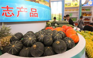 冬交會(huì)陵水展館 68種優(yōu)質(zhì)特色農(nóng)副產(chǎn)品引關(guān)注，擦亮熱帶農(nóng)業(yè)名片