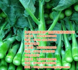 東莞膳食承包商服務(wù)與山農(nóng)農(nóng)副產(chǎn)品配送一體化解決方案及報(bào)價(jià)淺析